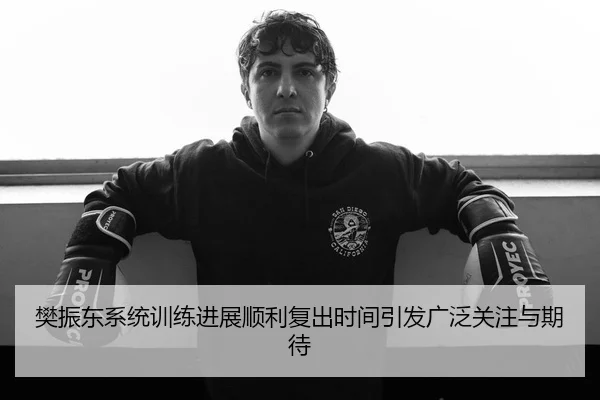 樊振东系统训练进展顺利复出时间引发广泛关注与期待